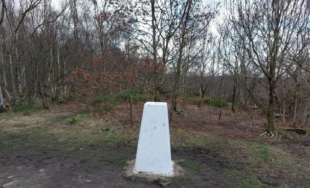 Loxley trig