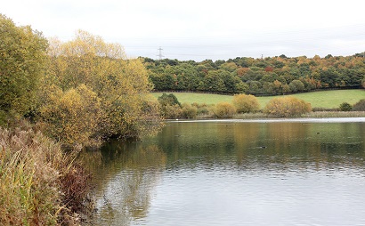 View of Treeton